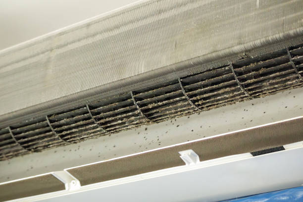 Best Air Vent Cleaning Services  in Des Moines, IA